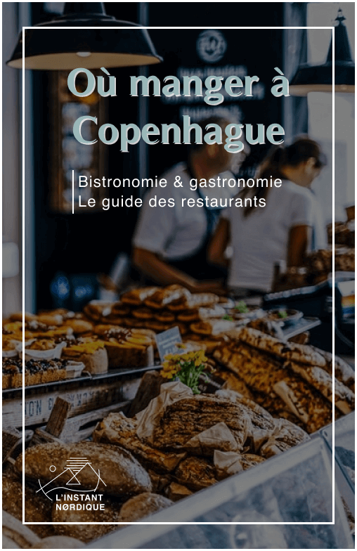 ou-manger-copenhague-restaurant-guide-complet